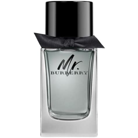 mr burberry inci|burberry cologne for men.